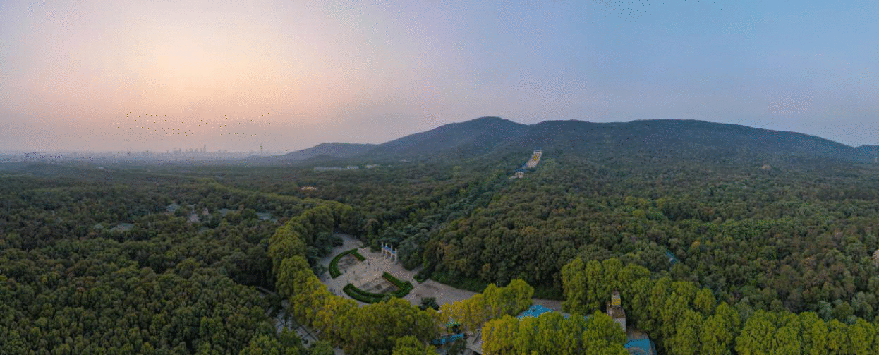  钟山峰景丨初代富人区王者归来，定鼎“金陵之门”