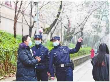  武汉大学樱花盛放迎客 本周末“医护专场”1.3万人已预约