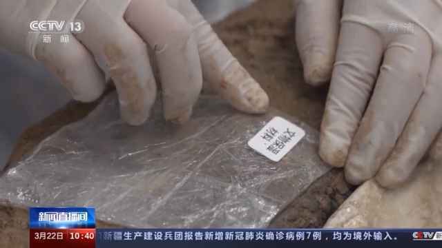  三星堆出土象牙如何保存 高分子材料为之“量体裁衣”